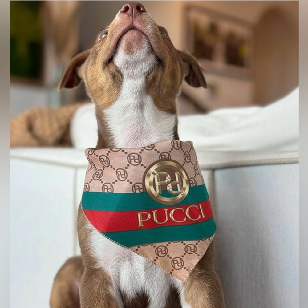 High Fashion Dog Bandana Scarf - Picture 2 of 3